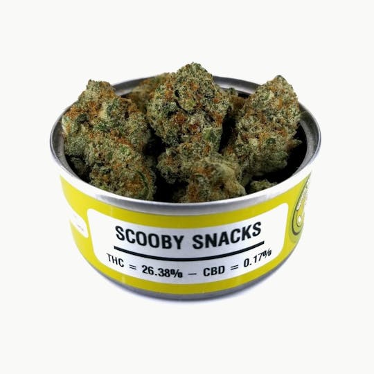 Space Monkey Meds - Scooby Snacks - 1