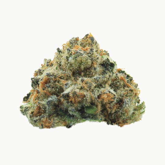 HSH Nevada - Palmdale Purp - 1