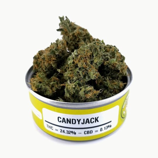 Space Monkey Meds - Candy Jack - 1