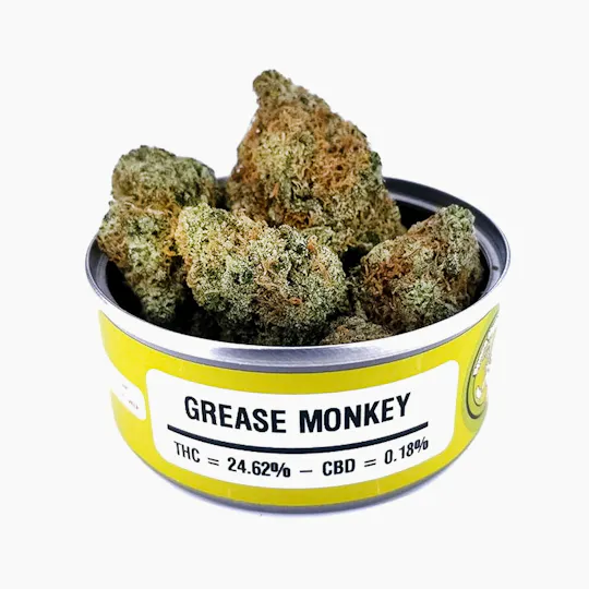 Space Monkey Meds - Grease Monkey - 1