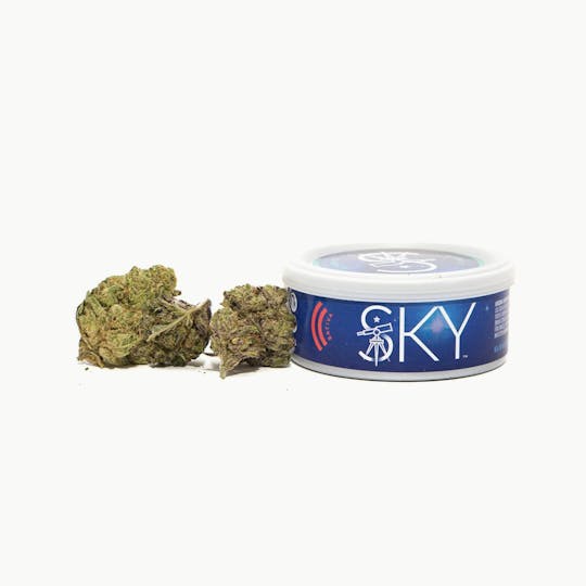 The Flower Shop - Durban Poison - 1