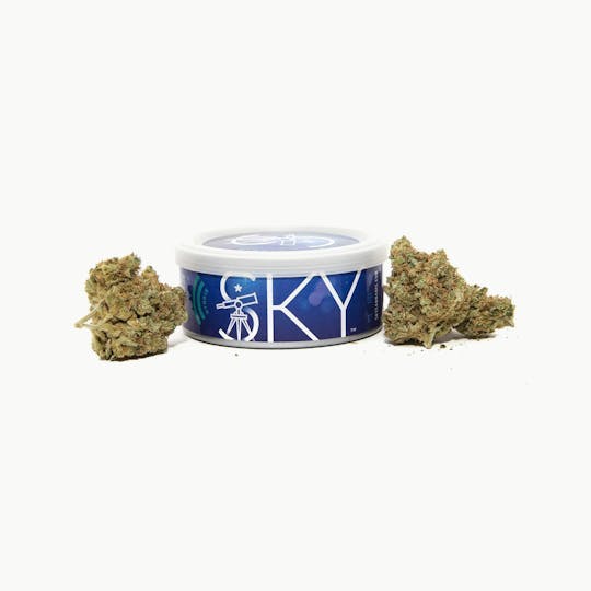 The Flower Shop - StarDawg - 1