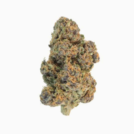 Grown Rogue - Grown Rogue | Purple Hindu Kush | Flower - 1