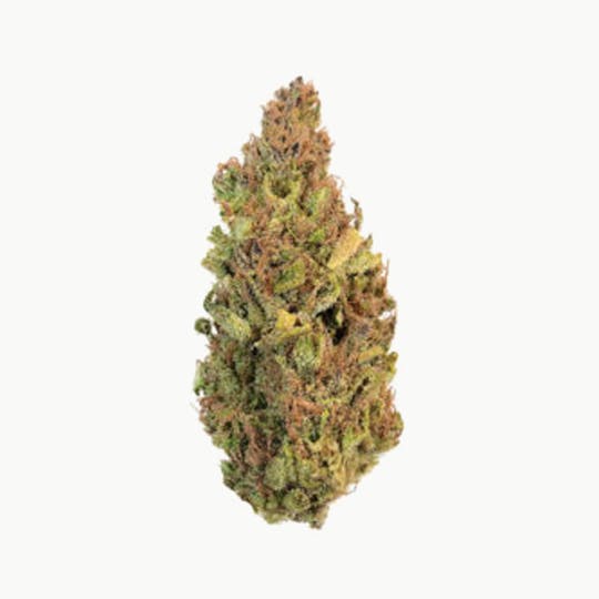 Grown Rogue - Grown Rogue | Afgoo/Jack Herer | Flower - 1