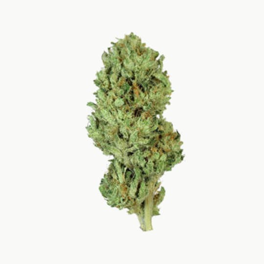 Grown Rogue - Grown Rogue | Ogre | Flower - 1