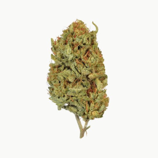 Grown Rogue - Grown Rogue | 5th Element | Flower - 1