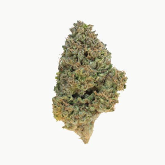 Grown Rogue - Grown Rogue | Blue City Diesel | Flower - 1