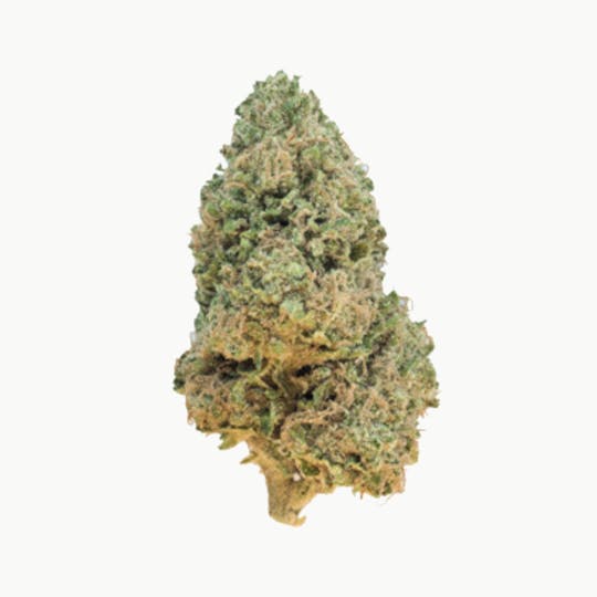 Grown Rogue - Grown Rogue | Huckleberry | Flower - 1