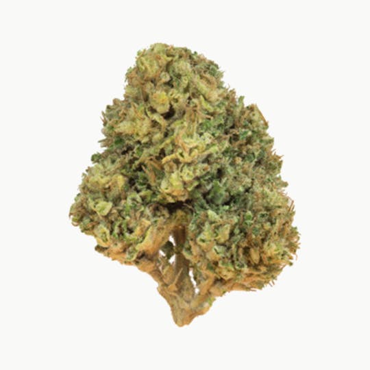 Grown Rogue - Grown Rogue | Pac G13 | Flower - 1