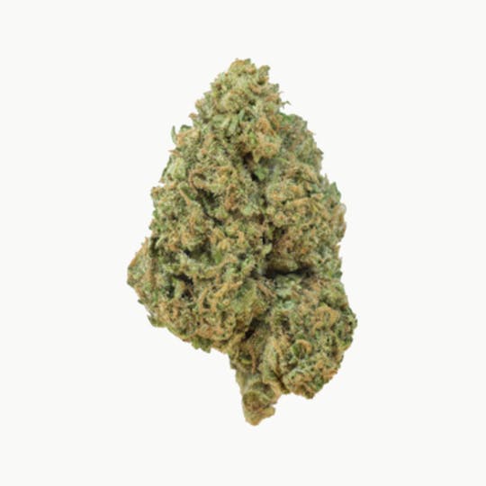 Grown Rogue - Grown Rogue | Blue Magoo | Flower - 1