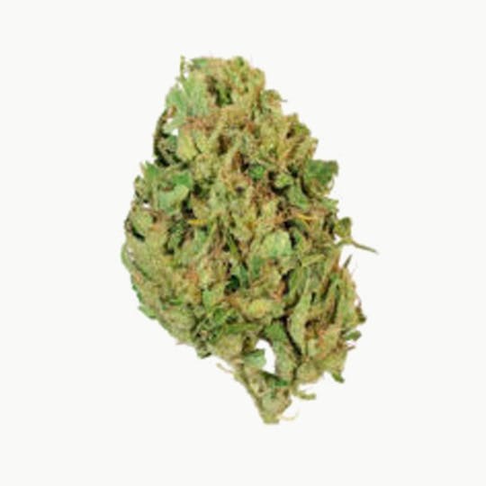 Grown Rogue - Grown Rogue | Black Chem Diesel | Flower - 1