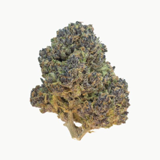 Grown Rogue - Grown Rogue | Essence | Flower - 1