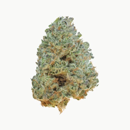 Grown Rogue - Grown Rogue | Triangle Mints | Flower - 1