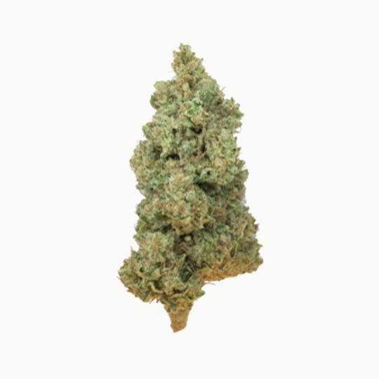 Grown Rogue - Grown Rogue | Shortbread | Flower - 1