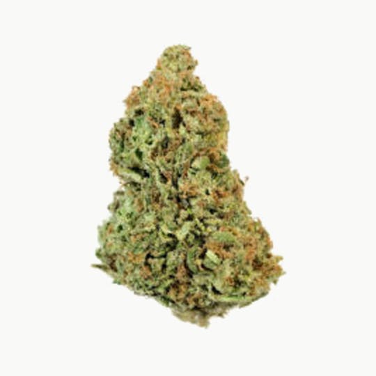 Grown Rogue - Grown Rogue | GR 13 | Flower - 1