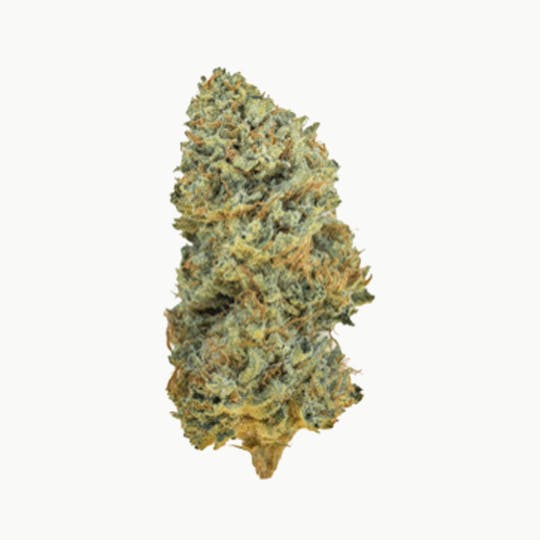 Grown Rogue - Grown Rogue | Pineapple Kush | Flower - 1