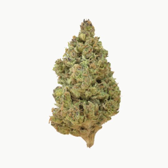 Grown Rogue - Grown Rogue | Churban Poison | Flower - 1