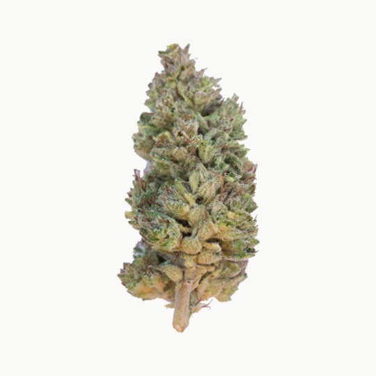 Grown Rogue - Grown Rogue | God Bud | Flower - 1