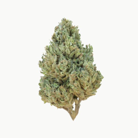 Grown Rogue - Grown Rogue | Key Lime Poison | Flower - 1