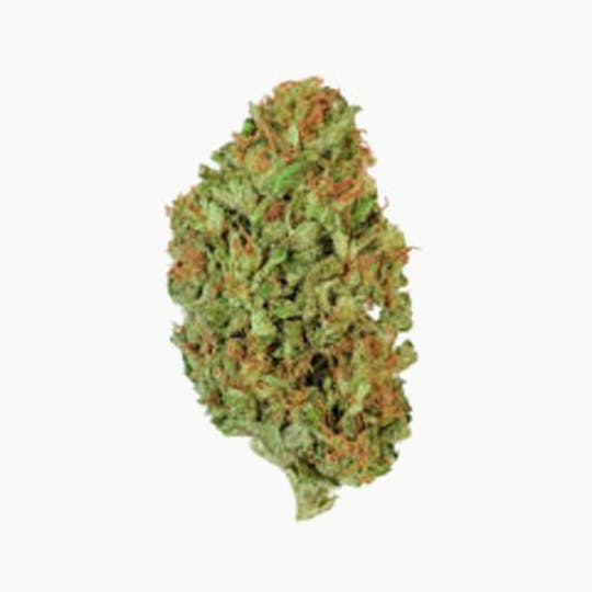 Grown Rogue - Grown Rogue | Lemon Sour Diesel | Flower - 1
