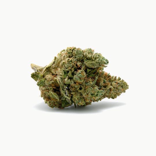 Tryke - Purple Kush - 1