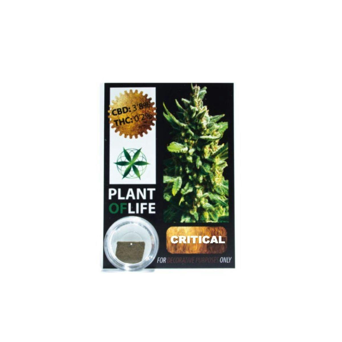 Plant Of Life - CBD COMPRESS CRITICAL - 1