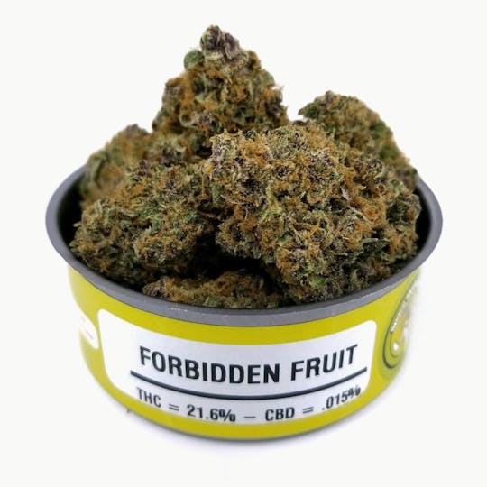 Space Monkey Meds - Forbidden Fruit - 1