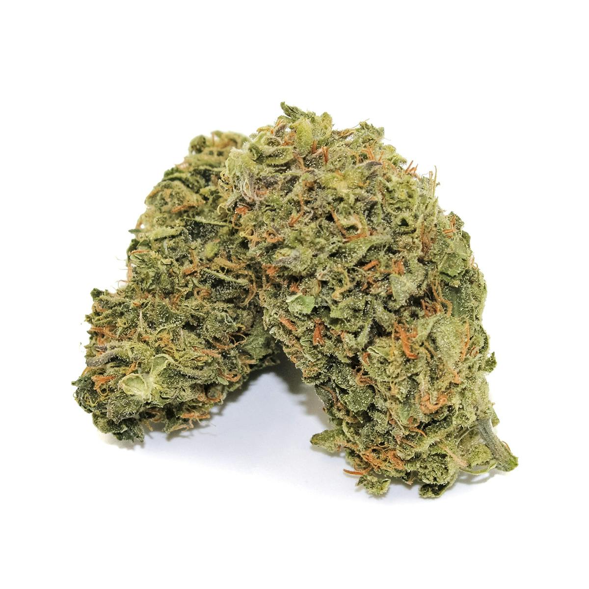 Pine Street Cannabis Company - Pine Street | Liberty Haze | Flower - 1