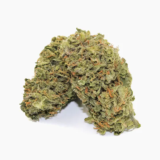 Pine Street Cannabis Company - Pine Street | Liberty Haze | Flower - 1