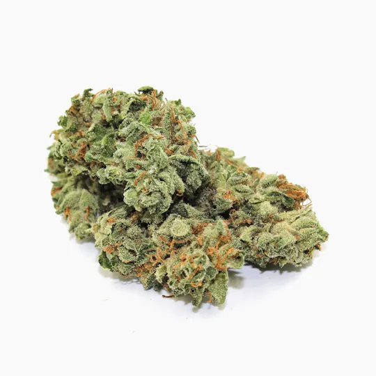 Pine Street Cannabis Company - Pine Street | Northern Lights | Flower - 1
