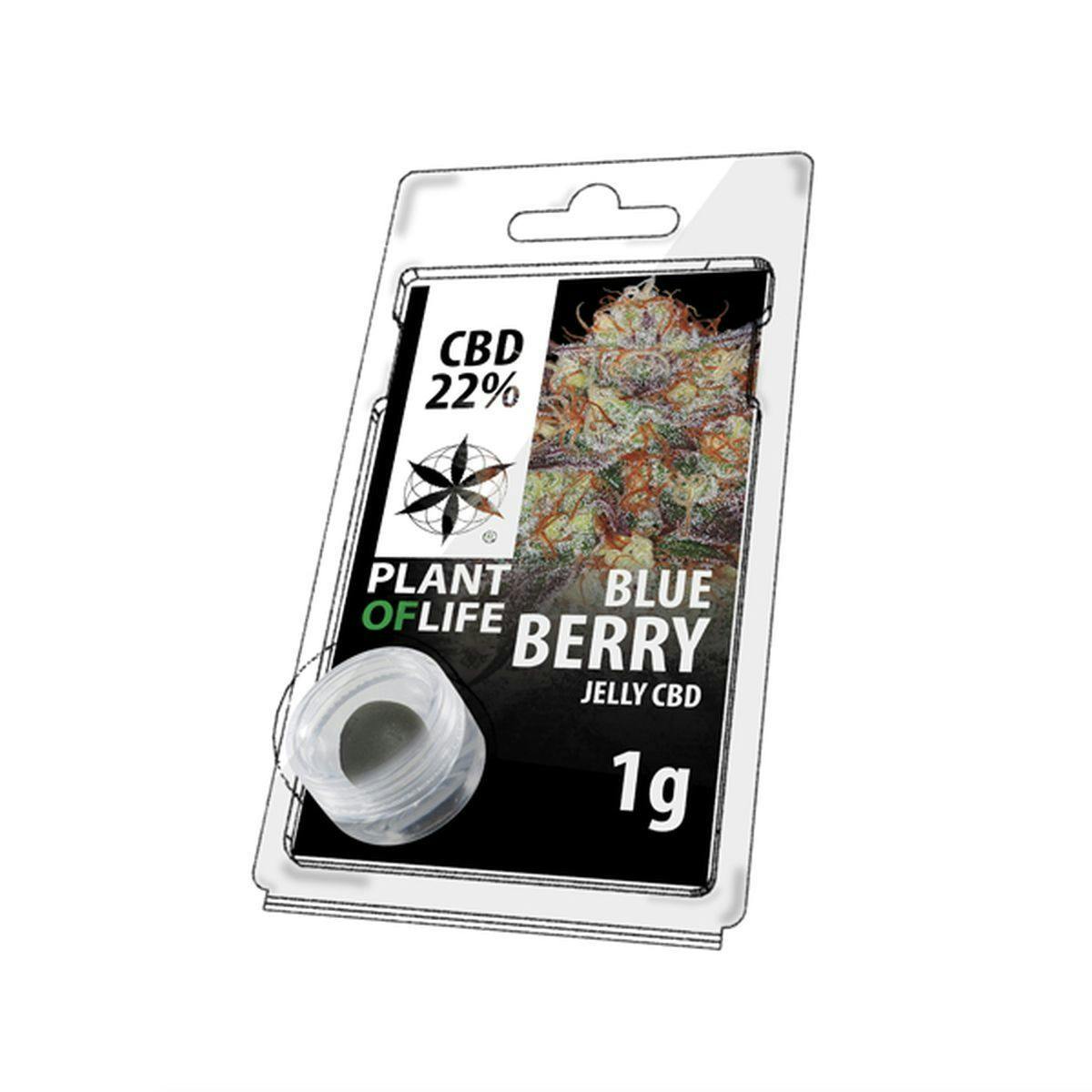 Plant Of Life - JELLY 22% CBD BLUEBERRY - 1