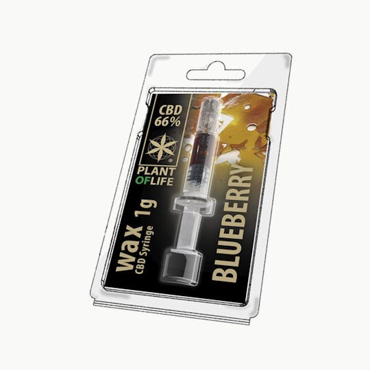 Plant Of Life - WAX BLUEBERRY - 1