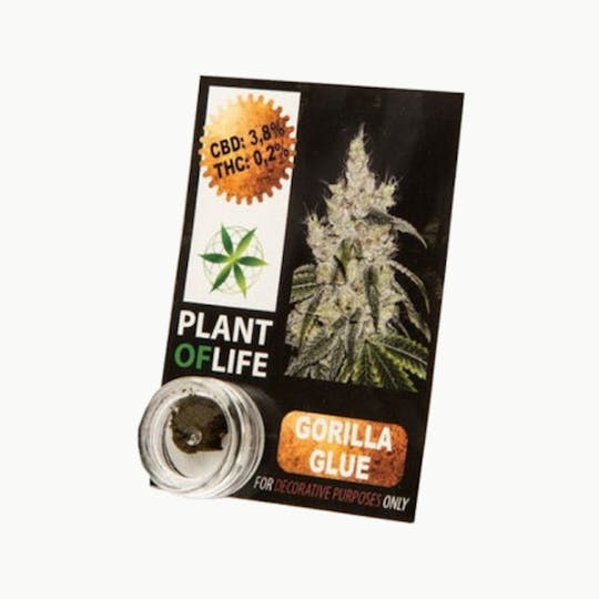 Plant Of Life - CBD COMPRESS GORILLA GLUE - 1