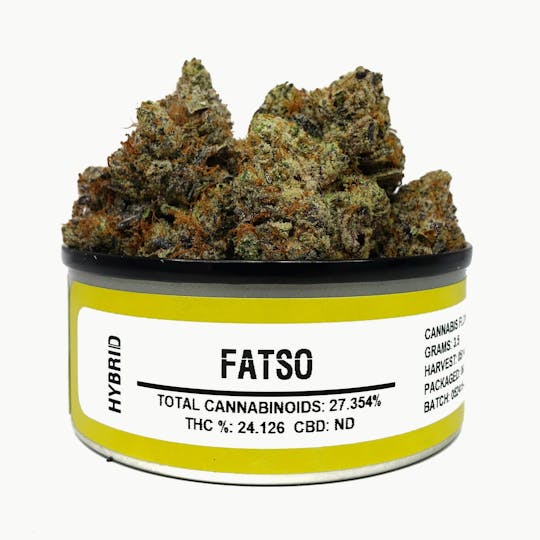 Space Monkey Meds - Fatso - 1
