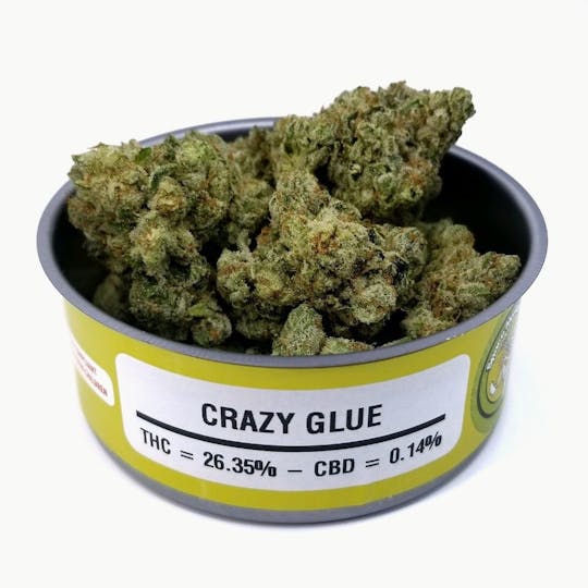Space Monkey Meds - Crazy Glue - 1