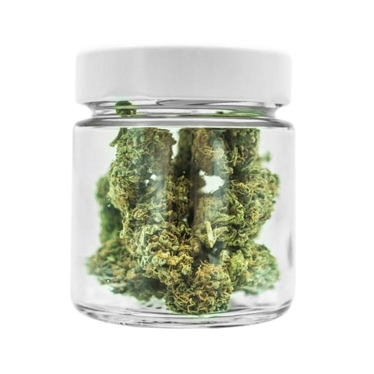 Urban Pharm - Tangerine Haze - 1