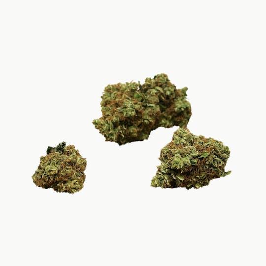 CBDNOL - CBD Hanfblüten - Snow White - 1