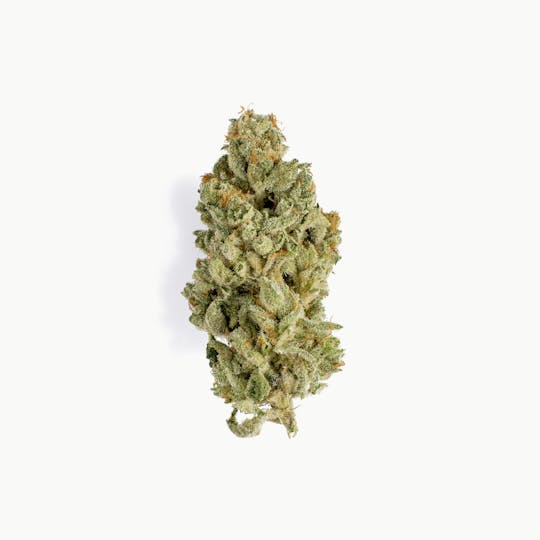 Kynd Cannabis - Jawa Pie Flower - 1