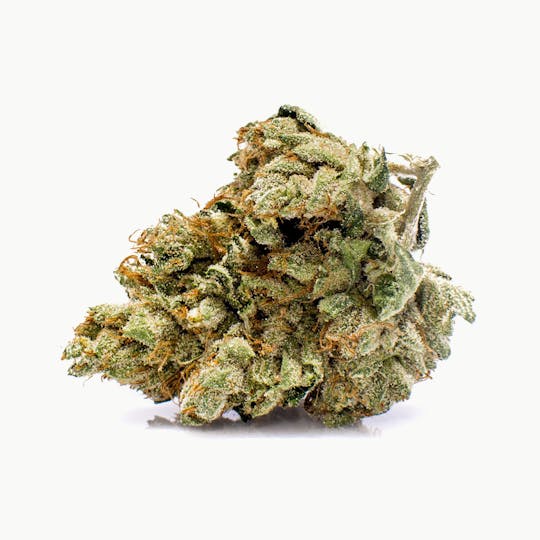 Kynd Cannabis - MR OG - 1