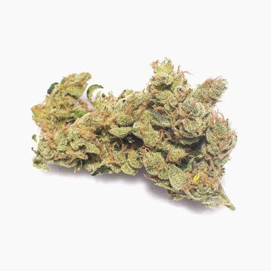 Kynd Cannabis - Sour Diesel - 1