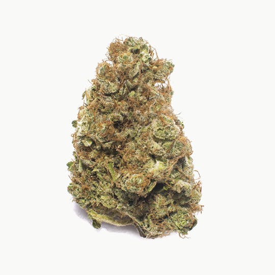 Kynd Cannabis - Tangie - 1