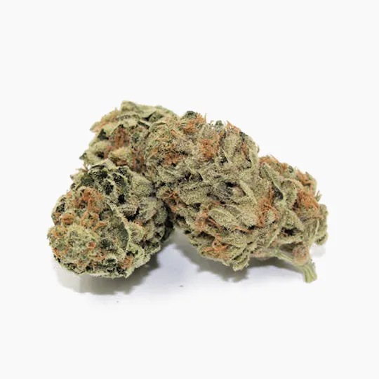 Pine Street Cannabis Company - Pine Street | Green Crack | Flower - 1