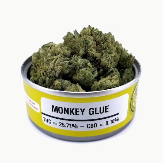 Space Monkey Meds - Monkey Glue - 1