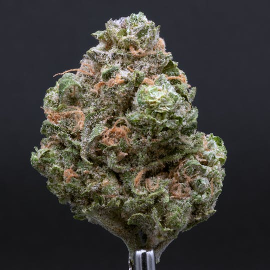 CRU Cannabis - Blue Dream (3.5 Grams) - 1