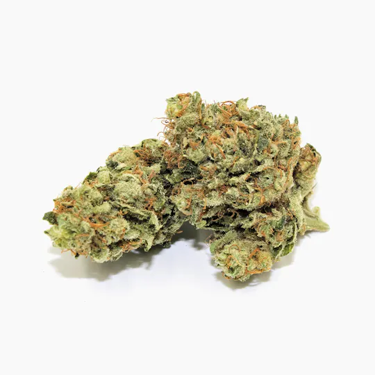 Pine Street Cannabis Company - Pine Street | Acapulco Gold | Flower - 1