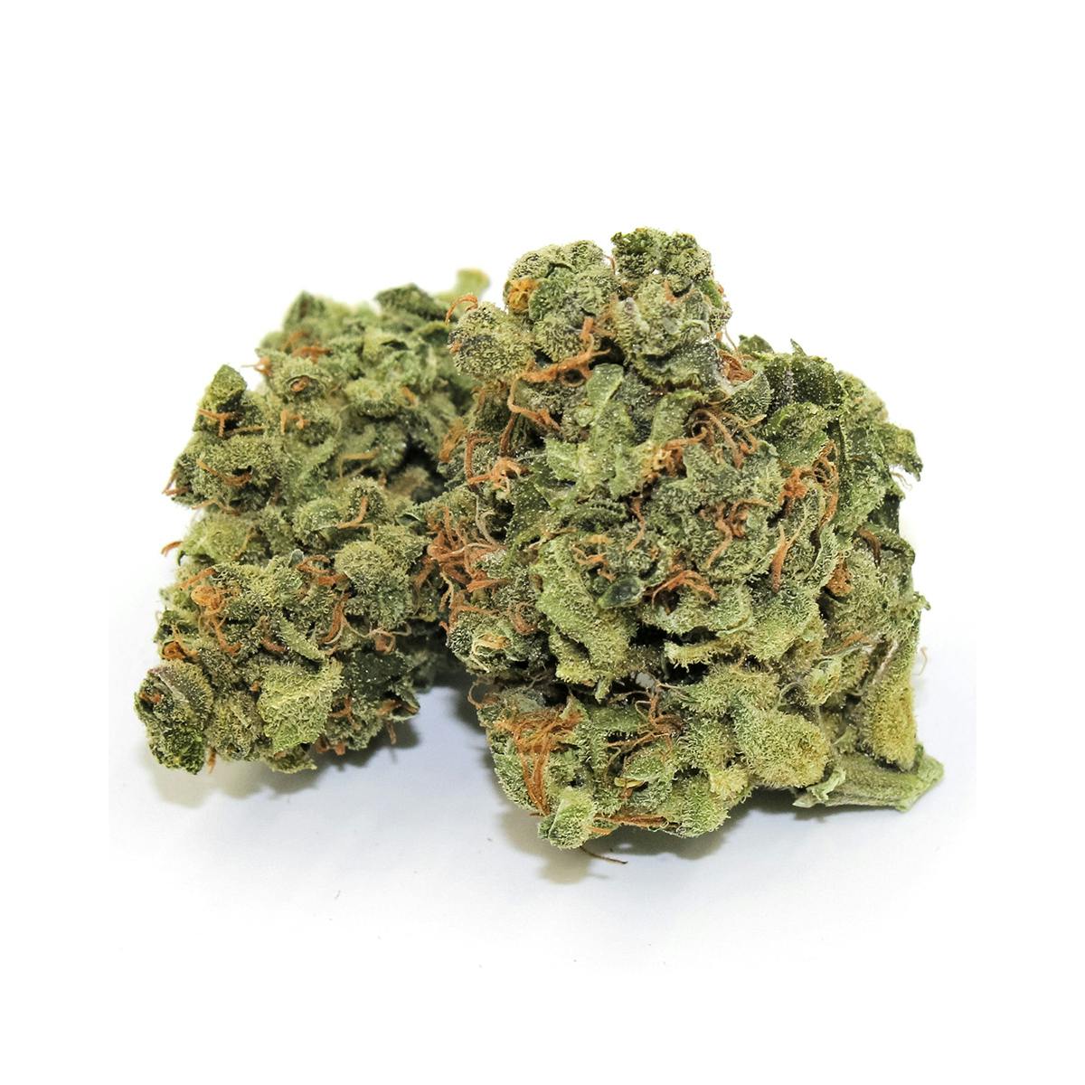 Pine Street Cannabis Company - Pine Street | BC God Bud | Flower - 1
