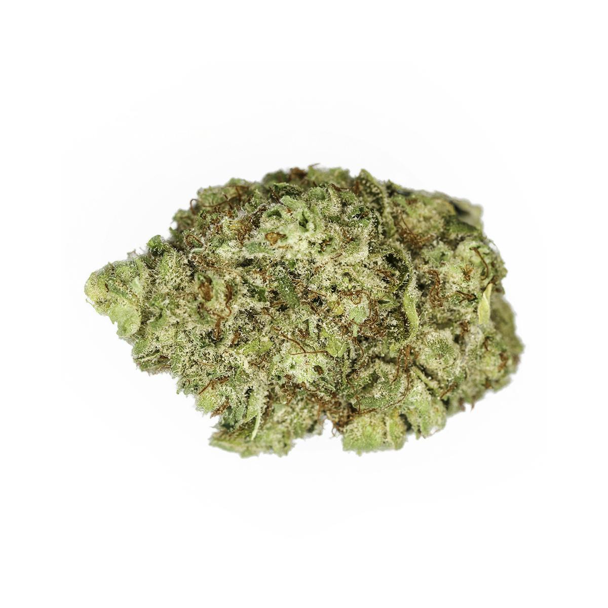 SoulTonix - Superbud - 1