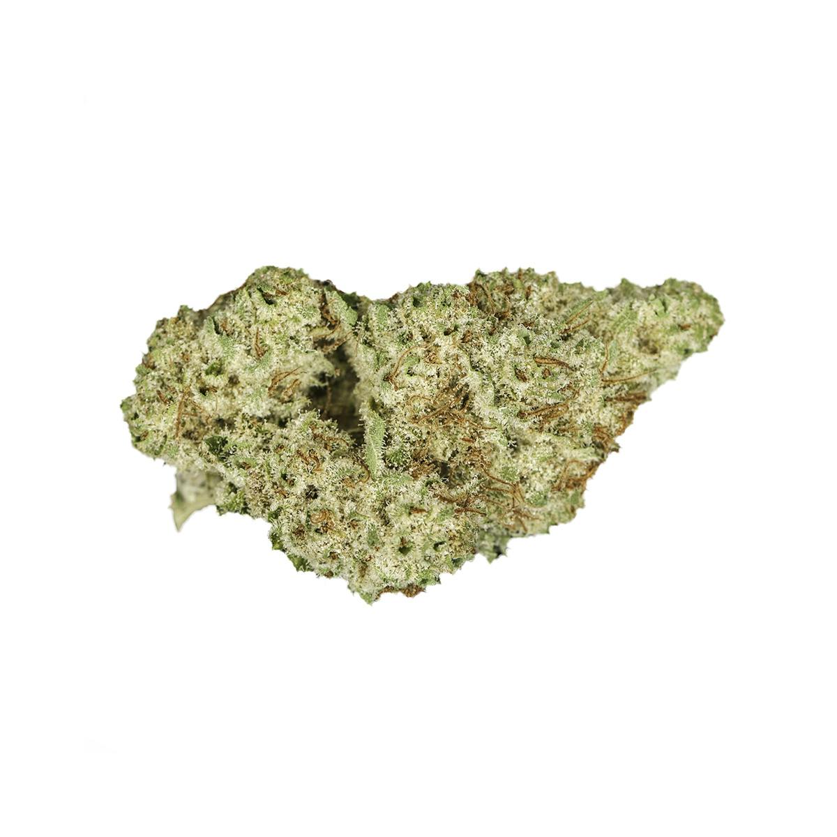 SoulTonix - Snow Monster - 1