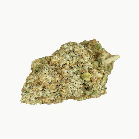 SoulTonix - Mother's Milk #5 - 1