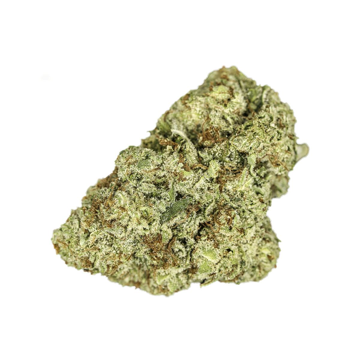 SoulTonix - Killer Queen - 1